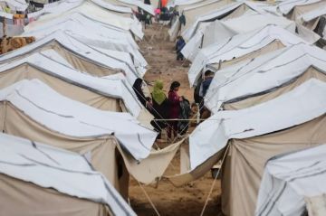 طقس فلسطين: غائم جزئيا وانخفاض ملموس على درجات الحرارة طقس فلسطين: غائم جزئيا وانخفاض ملموس على درجات الحرارة