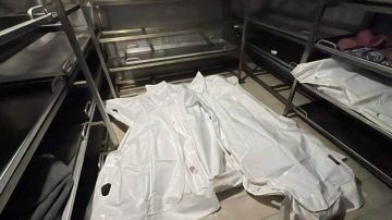 محدث خروقات متواصلة... 17 شهيدا في غارات جوية على شمال غزة وجنوب القطاع محدث خروقات متواصلة... 17 شهيدا في غارات جوية على شمال غزة وجنوب القطاع