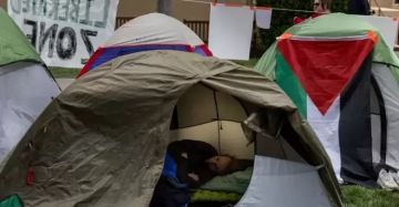 احتجاجات ستانفورد ضد الاحتلال.. الحركة الطلابية المؤيدة لفلسطين تنتصر بقرار قضائي