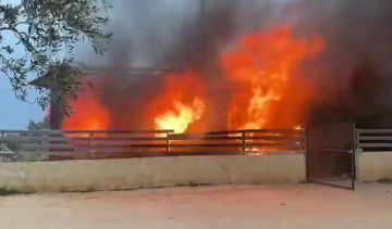 إصابة 3 مواطنين في الضفة ومستوطنون يحرقون أراض زراعية في أبو فلاح