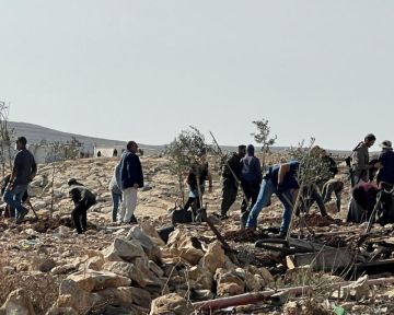مستوطنون يدمرون مغارة جنوب المغير ويقتحمون أراض في سنجل