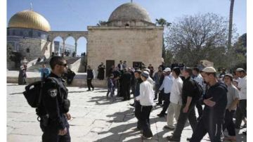مستوطنون يقتحمون باحات المسجد الأقصى مستوطنون يقتحمون باحات المسجد الأقصى