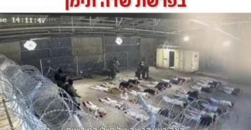 متى يصحو الضمير ..؟؟ متى يصحو الضمير ..؟؟