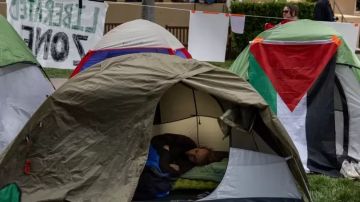 احتجاجات ستانفورد ضد الاحتلال.. الحركة الطلابية المؤيدة لفلسطين تنتصر بقرار قضائي