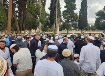 محدث بالفيديو والصور أغان ورقصات جماعية.. مستوطنون يقتحمون باحات الأقصى