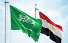 مصر والسعودية تؤكدان ضرورة تنفيذ خطة ترامب ونشر قوة دولية في غزة - ps