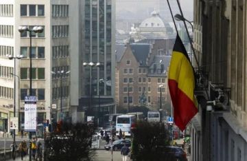 القضاء البلجيكي يدين تقاعس الدولة عن منع التواطؤ في إبادة غزة القضاء البلجيكي يدين تقاعس الدولة عن منع التواطؤ في إبادة غزة