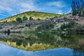 ما هي الحالة التي ستكون عليها الأجواء حتى نهاية الأسبوع؟