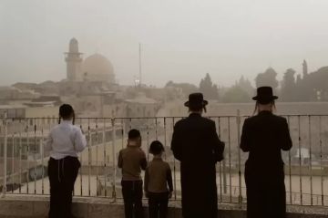 تقرير بين الإغلاق وذبح القربان.. الأقصى يهود تقرير بين الإغلاق وذبح القربان.. الأقصى يهود