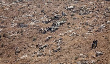 حماس: اعتداءات المستوطنين في مسافر يطا محاولة لفرض واقع استيطاني بالقوة حماس: اعتداءات المستوطنين في مسافر يطا محاولة لفرض واقع استيطاني بالقوة