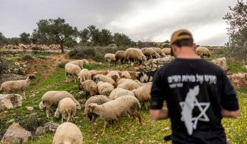 بيانات إسرائيلية تكشف تصاعد اعتداءات المستوطنين في الضفة كما ونوعا