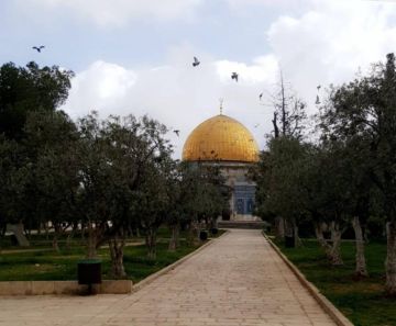 الطقس: انخفاض على درجات الحرارة وفرص لتساقط الأمطار الطقس: انخفاض على درجات الحرارة وفرص لتساقط الأمطار