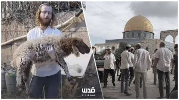  خاص دائرة الخطر تتسع في المسجد الأقصى: تحذيرات عربية ومقدسية من محاولات إدخال القرابين الحيوانية