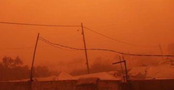 حماس: استمرار المعاناة في غزة وصمة عار على جبين الإنسانية