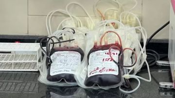 الشفاء في غزة يطلق نداء عاجلا للتبرع بالدم