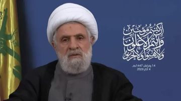 نعيم قاسم: لن نصبر إلى ما لا نهاية والصواريخ رد على عدوان إسرائيلي معد مسبقا