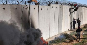 مقاومة الجدار: المستوطنون نفذوا 192 اعتداء خلال أسبوعين