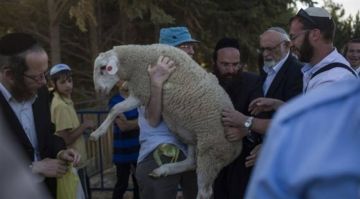 تقرير الأقصى في مرمى طقوس قربان الفصح.. وتحذيرات من كسر الوضع القائم