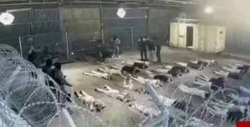 إسقاط التهم عن جنود إسرائيليين بقضية اغتصاب أسير في سديه تيمان