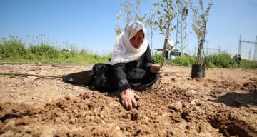 الجهاد الإسلامي: ندعو لتصعيد المقاومة في ذكرى يوم الأرض الجهاد الإسلامي: ندعو لتصعيد المقاومة في ذكرى يوم الأرض