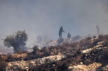 تقرير تصاعد إرهاب المستوطنين في الضفة... شهداء واعتداءات متواصلة على القرى تقرير تصاعد إرهاب المستوطنين في الضفة... شهداء واعتداءات متواصلة على القرى