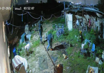 المستوطنون يسرقون عشرات الأغنام ويعتدون على المواطنين شرق الخليل المستوطنون يسرقون عشرات الأغنام ويعتدون على المواطنين شرق الخليل