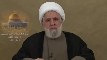 نعيم قاسم: حزب الله أعد نفسه لمواجهة طويلة نعيم قاسم: حزب الله أعد نفسه لمواجهة طويلة