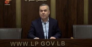 فضل الله: المقاومة تدافع عن لبنان أمام المشروع الإسرائيلي