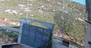 مستوطنون يطلقون مواشيهم قرب منازل في بيت إمرين شمال غرب نابلس