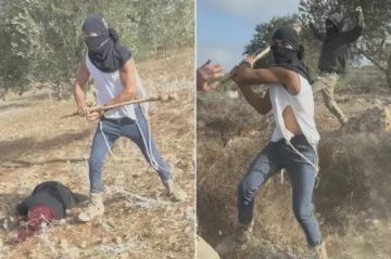 بدران: هجمات المستوطنين باتت حربا مفتوحة تستهدف وجود شعبنا