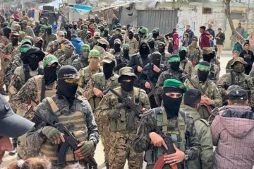 ما وراء خطة ملادينوف لـ نزع سلاح المقاومة في غزة؟ محلل سياسي يجيب