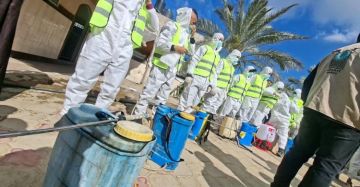 بالصور: مؤسسة هدائي تطلق حملة لمكافحة البعوض والبراغيت في رفح وخانيونس بالصور: مؤسسة هدائي تطلق حملة لمكافحة البعوض والبراغيت في رفح وخانيونس