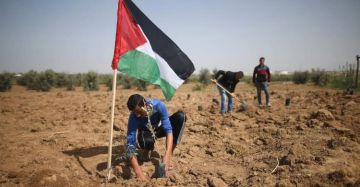 إذاعات وتلفزيونات التعاون الإسلامي في ذكرى يوم الأرض: نؤكد دعمنا الكامل للحقوق المشروعة للشعب الفلسطيني