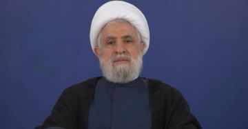 الشيخ قاسم: المقاومة مستمرة بلا سقف.. والوحدة الوطنية تيئس العدو من احتلالنا