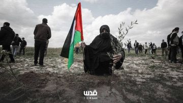 خاص في ذكرى يوم الأرض.. المستقبل ترسمه الحرب وهكذا يسعى الاحتلال لجعل الأرض الفلسطينية غير قابلة للحياة خاص في ذكرى يوم الأرض.. المستقبل ترسمه الحرب وهكذا يسعى الاحتلال لجعل الأرض الفلسطينية غير قابلة للحياة