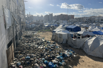 تقرير حشرات تحاصر الخيام.. أرق وأمراض تنهك نازحي غزة تقرير حشرات تحاصر الخيام.. أرق وأمراض تنهك نازحي غزة