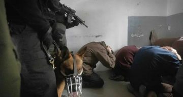 خاص الأشقر لـ شهاب: إقرار الاحتلال قانون إعدام الأسرى يفتح مرحلة دموية جديدة وينذر بانعكاسات خطيرة