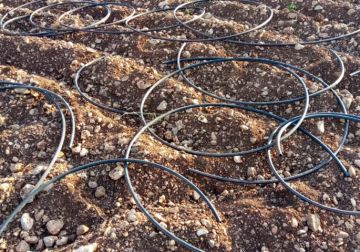 مستعمرون يقتلعون أشتال زيتون ويقطعون شبكة ري شرق طوباس