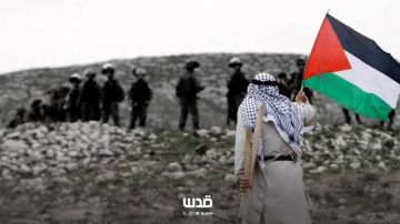 خاص من القانون العثماني إلى الضم التدريجي: رحلة سيطرة الاحتلال على الأرض الفلسطينية