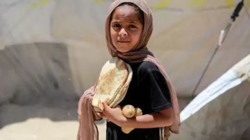 تقرير الخبز على حافة الغياب... هل ينبئ رغيف غزة عن عودة شبح المجاعة؟