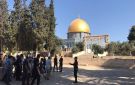 بذكرى خراب الهيكل .. 1079 مستوطن يقتحمون الأقصى