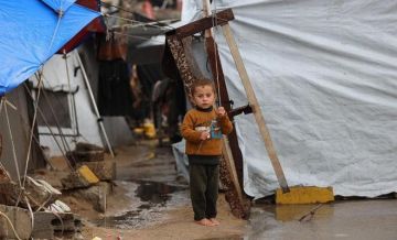 الإغاثة الطبية: غزة تغرق في المكاره الصحية والقوارض تهاجم الأطفال داخل الخيام