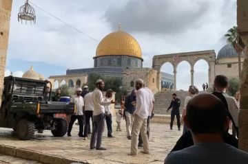 بالفيديو مستوطنون يقتحمون باحات المسجد الأقصى بالفيديو مستوطنون يقتحمون باحات المسجد الأقصى