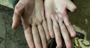 بالفيديو  شهادات أطفال تعرضوا للاغتصاب والتعذيب على أيدي مجندات إسرائيليات برفح