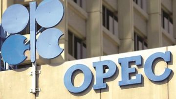 محللون: أوبك ستكون أضعف هيكليا بدون الإمارات