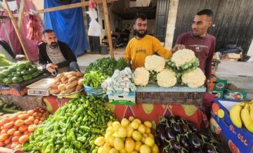 زراعة غزة توضح أسباب ارتفاع تكاليف بعض المحاصيل الزراعية