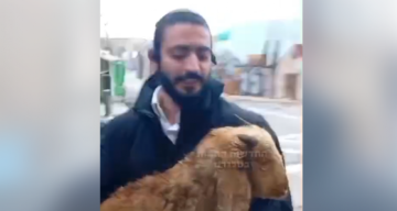 مستوطنون حاولوا اليوم إدخال وذبح قرابين في المسجد الأقصى