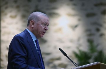 أردوغان: ما يجري في غزة يفضح حدود النظام العالمي ويكشف أزمته الوجودية