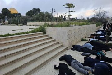 القدس الدولية: الاحتلال يفرض نفسه كإدارة أمر واقع للأقصى