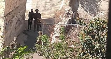 جيش الاحتلال يعتقل مواطنا ويهاجم رعاة الأغنام في مسافر يطا